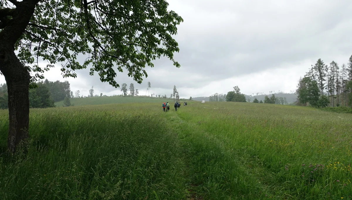 Auf dem langen Weg zum Kleinstein | © Louise