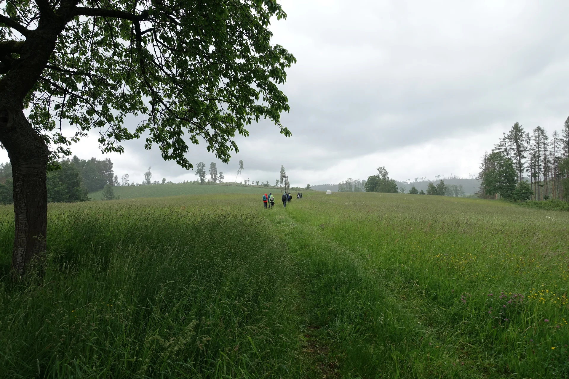 Auf dem langen Weg zum Kleinstein | © Louise